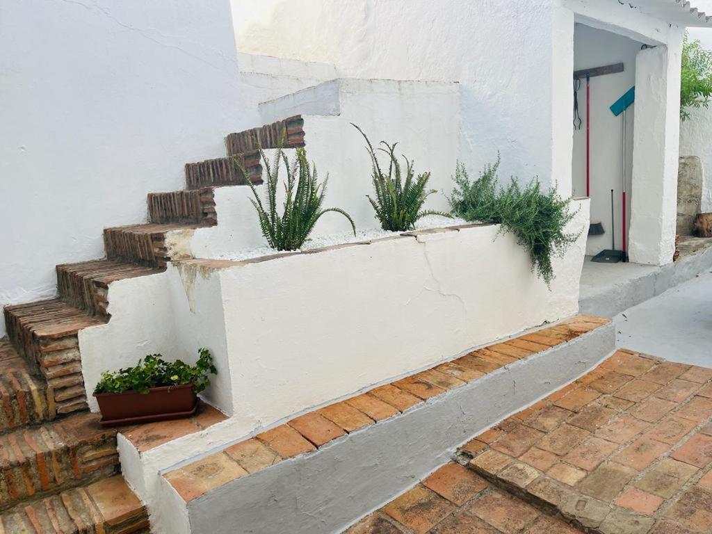 Casa Rural Dona Catalina Jimena De La Frontera Εξωτερικό φωτογραφία